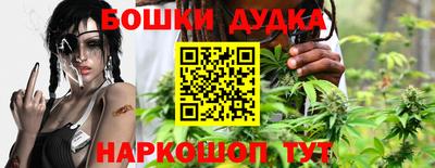дмт Кингисепп