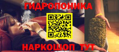 мяу мяу мука Кимры