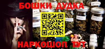 дмт Кингисепп