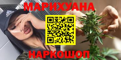 дмт Кингисепп