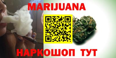 дмт Кингисепп