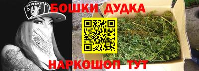 дмт Кингисепп