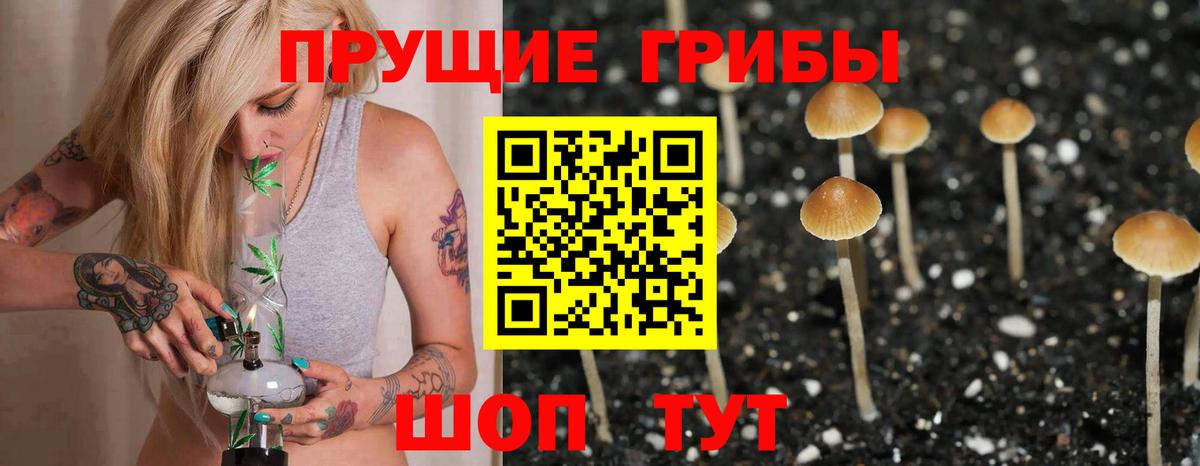 Щёлково  Галлюциногенные грибы мухоморы  Вход с VPN 